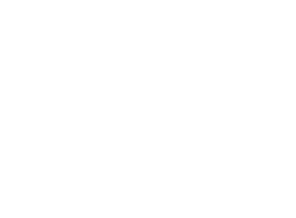 Boston Chimney Sweep
